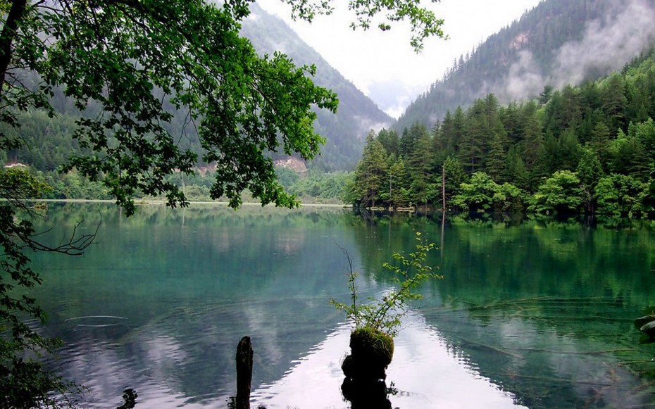 高山流水绿树如画般的美丽风景图片