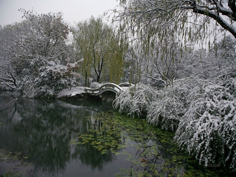 冬天里杭州西湖美丽的雪景图片