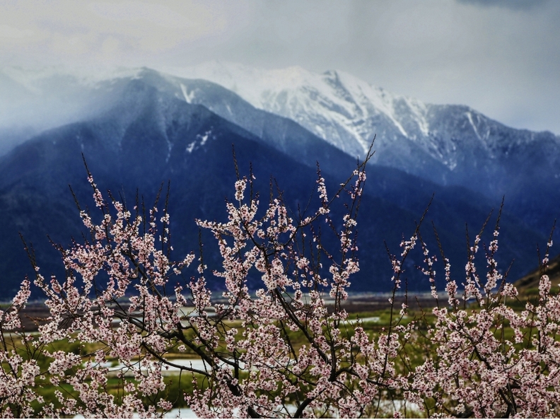 西藏林芝县桃花沟美丽自然风景图片