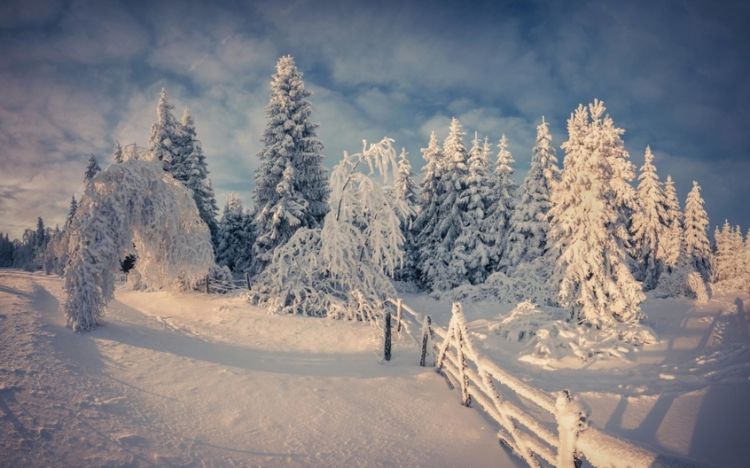 摄影雪中太阳自然风景壁纸大全