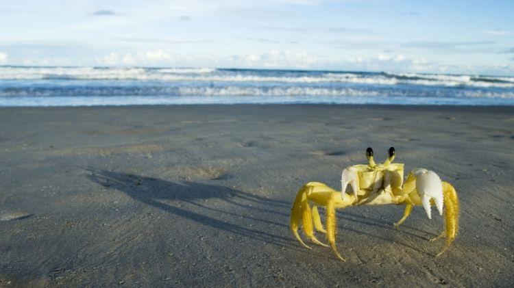 欣赏海边高清自然风景桌面壁纸