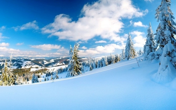 拍摄冬天雪景高清风景壁纸赏析