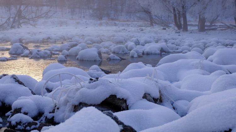 内蒙古阿尔山国家森林公园雪景图片