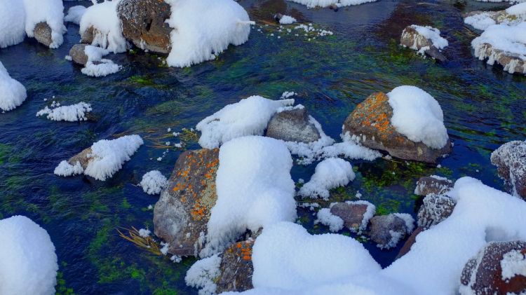 内蒙古阿尔山国家森林公园雪景图片