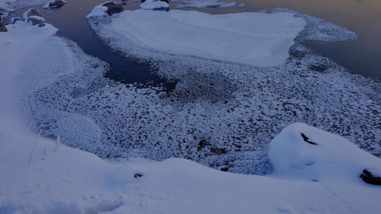 内蒙古阿尔山国家森林公园雪景图片