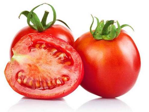 草本植物新鲜蔬菜西红柿图片欣赏