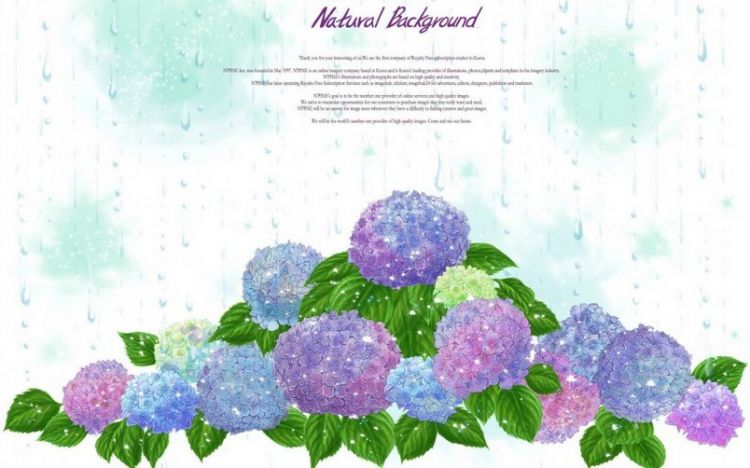 唯美漂亮的紫色花朵背景图片大全