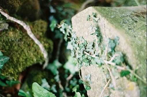 帅气拉风的王者荣耀免费精选名字大全 撩妹必备