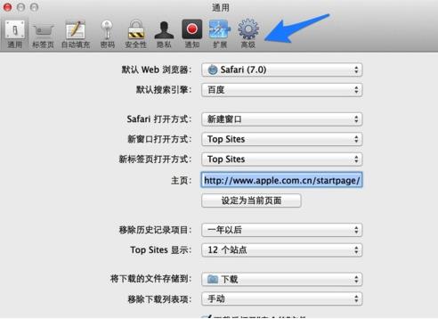 safari里高级设置