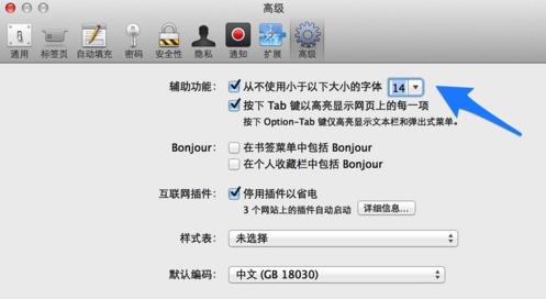 safari里高级设置