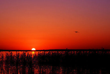 精选夕阳背景唯美图片分享！大全 落霞与孤鹜齐飞