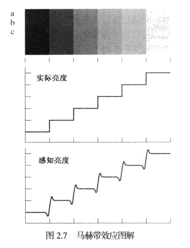 数字图像处理第二章：基本概念