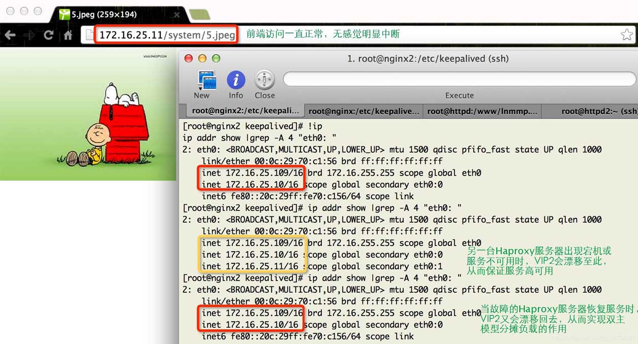 Nginx实现高可用集群构建(Keepalived+Haproxy+Nginx)