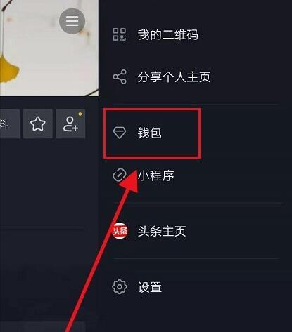 抖音充值在哪查看？