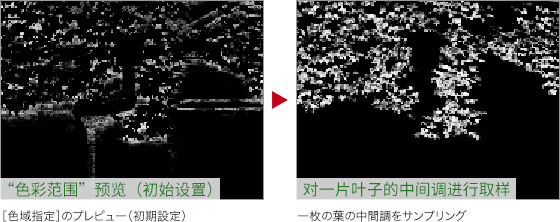 ps如何把绿叶变红叶