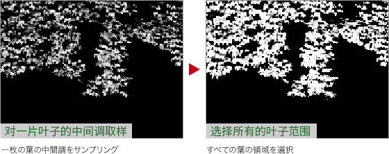 ps如何把绿叶变红叶