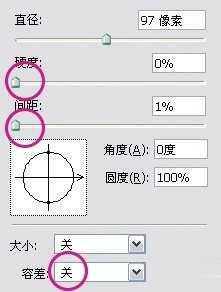 photoshop利用通道为猫咪画面选出主体