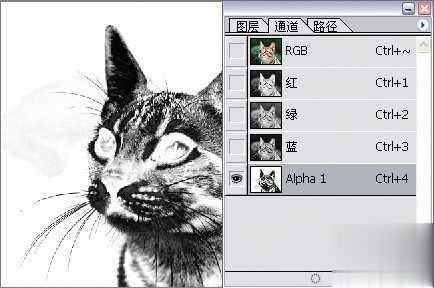 photoshop利用通道为猫咪画面选出主体