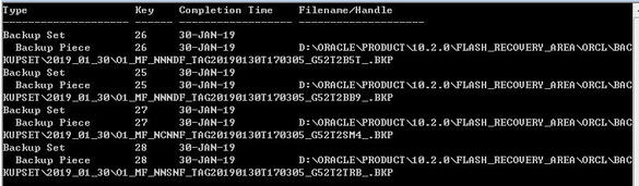 ORACLE10G非归档模式下RMAN异机迁库