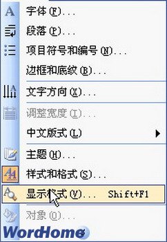 在Word2003中查看Word样式格式