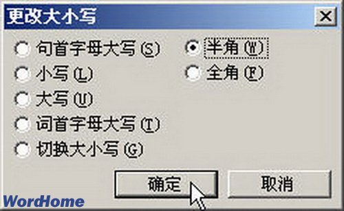 在Word2003中“更改大小写”设置字符全角/半角