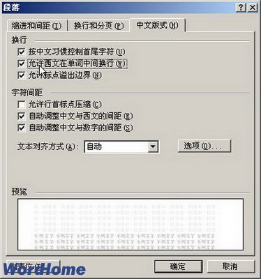 在Word2003设置Word单词换行方式