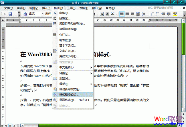 在Word2003文档中清除格式和样式