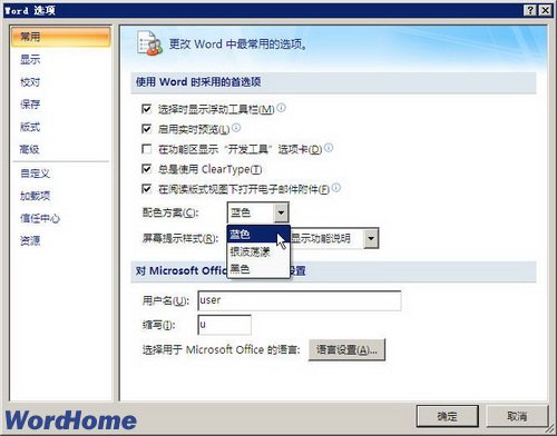 word2007配色方案改变窗口颜色