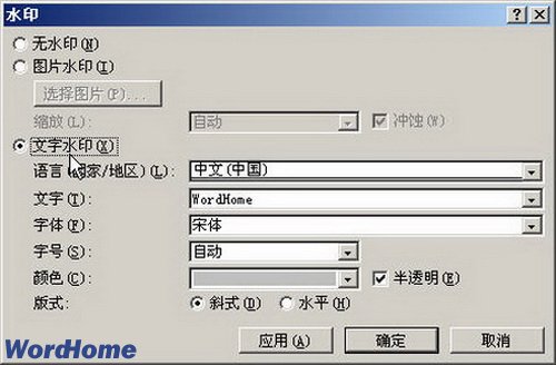 在Word2007文档中插入文字自定义水印