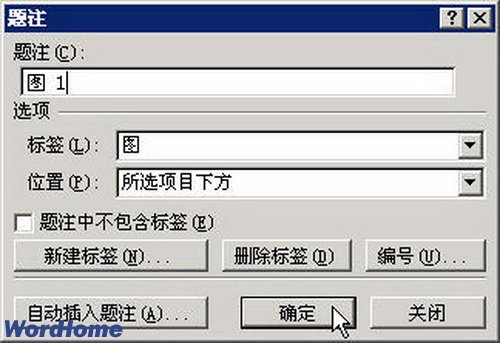 在Word2007文档中添加图片题注