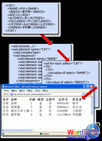 『Word2007技术』转换简介