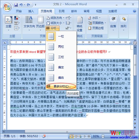 Word2007设置分栏效果不求人！