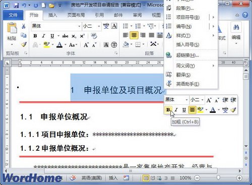 在Word2010文档中设置字体加粗和倾斜