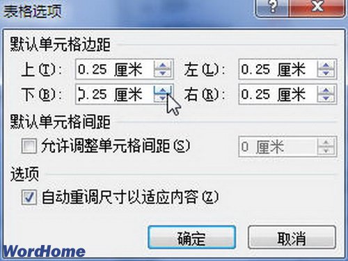 在Word2010中设置单元格边距