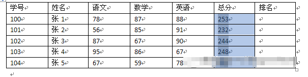 Word中表格样式与数据问题实践心得分享