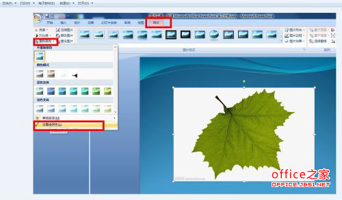 PPT中插入图片的背景色去除方法以去除绿色叶子背景为例