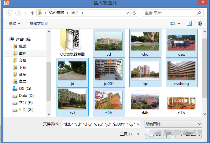 需要插入大量照片有什么办法让PPT快速插入多张图片