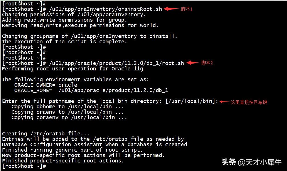 oracle11g安装步骤详细（oracle11g数据库安装）