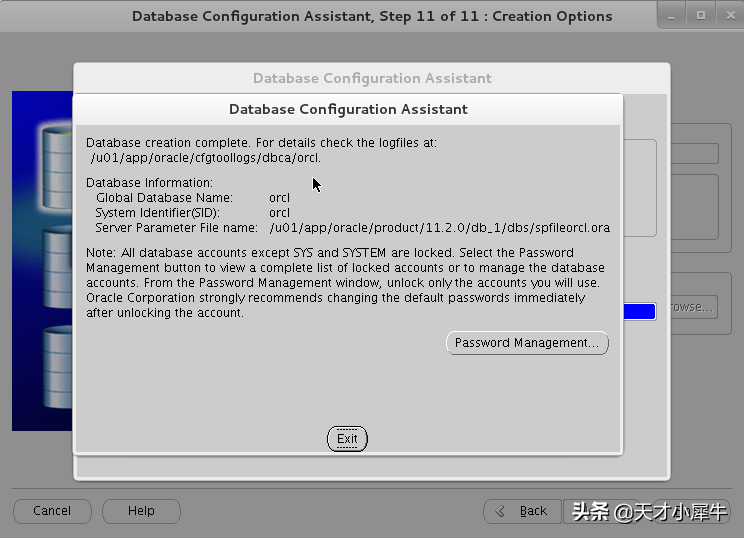 oracle11g安装步骤详细（oracle11g数据库安装）