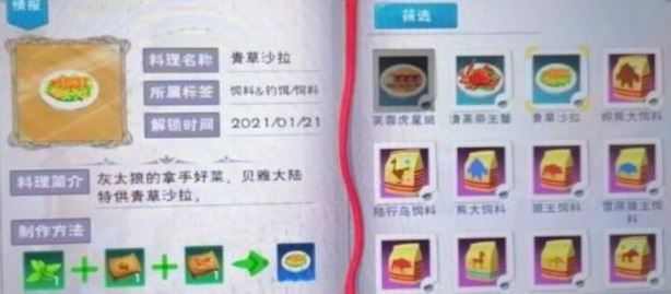 创造与魔法小灰灰饲料制作方法推荐