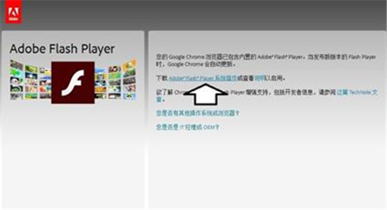 重装windows7系统后浏览器提示actionscript错误怎么办