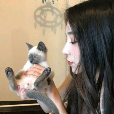 抱着猫咪的女生可爱头像分享大全2018 动了真心怎能说忘就忘