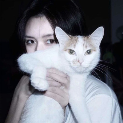 女生抱着猫猫爱心满满头像分享 你是最特别的那一个