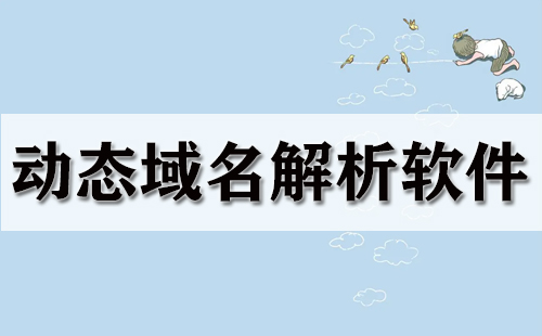 动态域名解析软件大全-动态域名解析软件哪个好