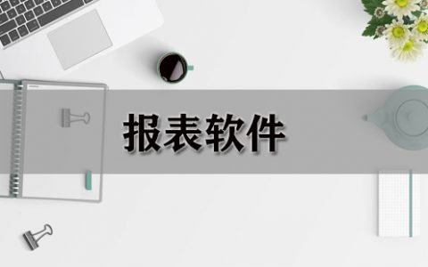 报表软件大全-报表软件哪个好[软件使用技术学习]